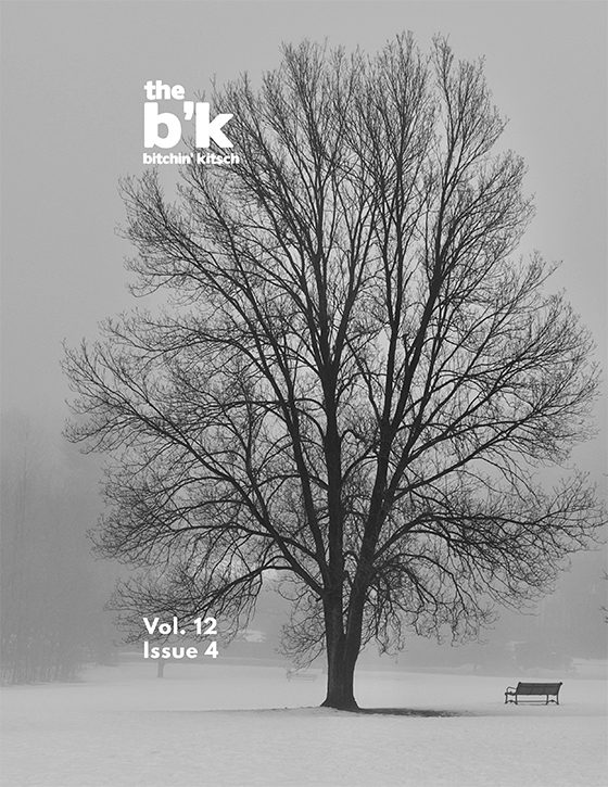 BKVol12Issue4FallCover Cover art of Issue 12, Volume 4